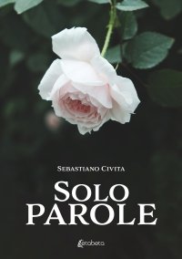 Immagine copertina libro Solo parole