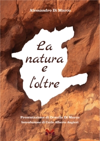 Immagine copertina libro La natura e l'oltre
