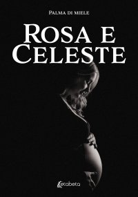 Immagine copertina libro Rosa e Celeste