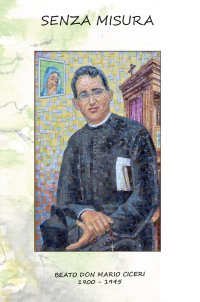 Immagine copertina libro Senza misura