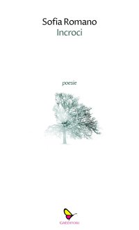 Immagine copertina libro Incroci
