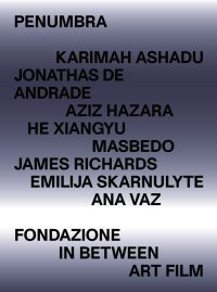 Immagine copertina libro Penumbra. Ediz. illustrata