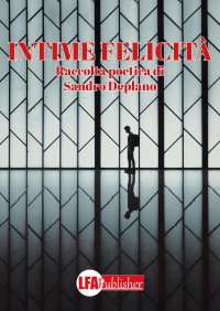 Immagine copertina libro Intime felicità