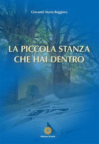 Immagine copertina libro La piccola stanza che hai dentro