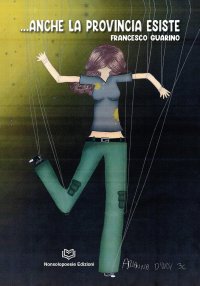 Immagine copertina libro ...Anche la provincia esiste