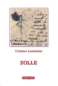 Immagine copertina libro Zolle
