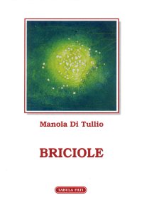 Immagine copertina libro Briciole