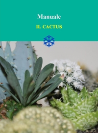 Immagine copertina libro Il cactus