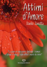 Immagine copertina libro Attimi d'amore