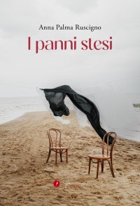 Immagine copertina libro Panni stesi