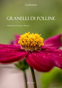 Immagine copertina libro Granelli di polline