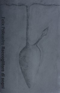 Immagine copertina libro Raccoglitore di sogni. Ediz. illustrata