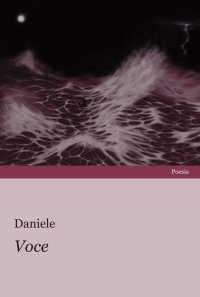 Immagine copertina libro Voce
