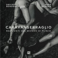 Immagine copertina libro Caravanserraglio. Racconti dal mondo di Plinio