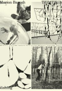 Immagine copertina libro Marion Baruch: Tzimtzum. Ediz. a colori