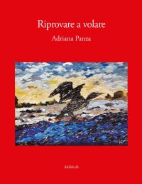 Immagine copertina libro Riprovare a volare