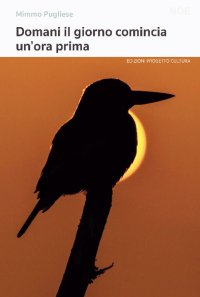 Immagine copertina libro Domani il giorno comincia un'ora prima