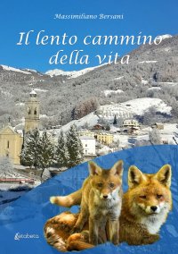 Immagine copertina libro Il lento cammino della vita