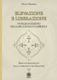 Immagine copertina libro Elevazione e liberazione. Bere eternamente dalla sorgente dei Maestri. Vangelo esseno dell'Arcangelo Gabriele. Vol. 10