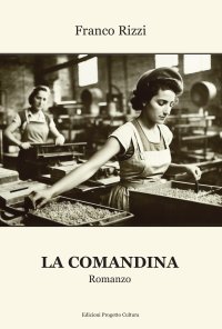 Immagine copertina libro La comandina