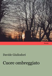 Immagine copertina libro Cuore ombreggiato