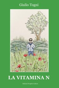 Immagine copertina libro La vitamina N