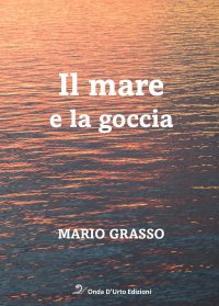 Immagine copertina libro Il mare e la goccia