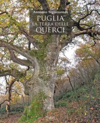 Immagine copertina libro Puglia. La terra delle querci. I boschi di Puglia: descrizione, storia, valore, problemi di conservazione