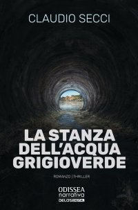 Immagine copertina libro La stanza dell’acqua grigioverde