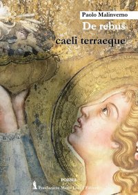 Immagine copertina libro De rebus caeli terraeque