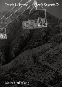 Immagine copertina libro Dawit L. Petros: Spazio Disponibile. Ediz. multilingue