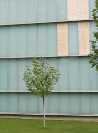 Immagine copertina libro A Kassen. Dimensions variable. Ediz. illustrata