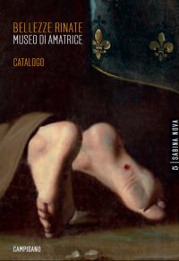 Immagine copertina libro Bellezze rinate. Museo di Amatrice