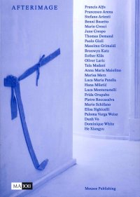 Immagine copertina libro Afterimage. Ediz. italiana e inglese