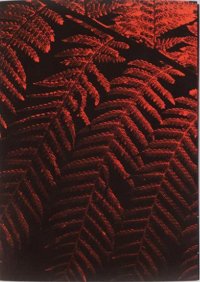 Immagine copertina libro Julian Charrière: Controlled burn. Ediz. multilingue