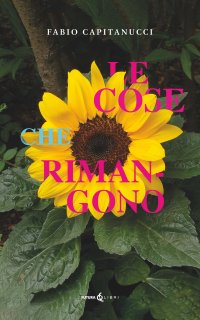 Immagine copertina libro Le cose che rimangono