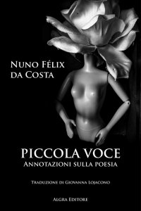 Immagine copertina libro Piccola voce. Annotazioni sulla poesia