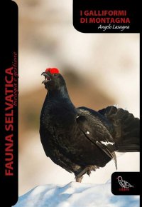 Immagine copertina libro Galliformi di montagna