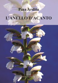 Immagine copertina libro L'anello d'acanto