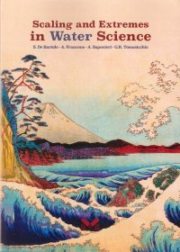 Immagine copertina libro Scaling and extremes in Water Science