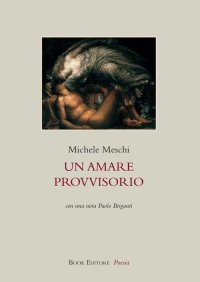 Immagine copertina libro Un amare provvisorio