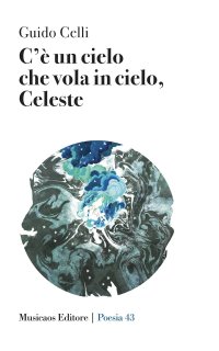 Immagine copertina libro C'è un cielo che vola in cielo, Celeste
