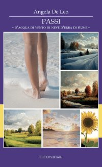 Immagine copertina libro Passi d’acqua di vento di neve d’erba di fiume