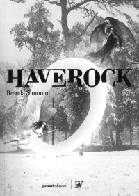 Immagine copertina libro Haverock