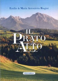 Immagine copertina libro Il prato alto