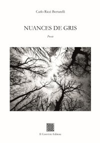 Immagine copertina libro Nuances de gris
