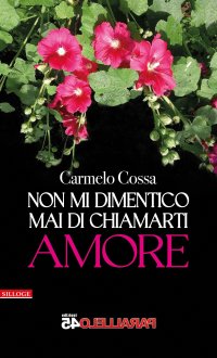 Immagine copertina libro Non mi dimentico mai di chiamarti amore