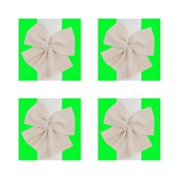 Immagine copertina libro Daphne Ahlers: Die Würflerin. Ediz. illustrata