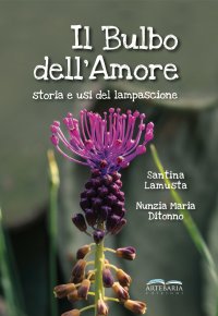 Immagine copertina libro Il bulbo dell'amore. Storia e usi del lampascione