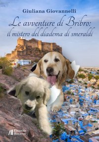 Immagine copertina libro Le avventure di Bribro: il mistero del diadema di smeraldi